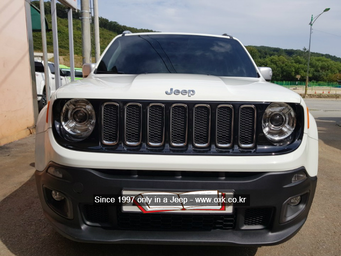 지프 레니게이드 컬러 그릴 1개, Jeep RENEGADE 15-18